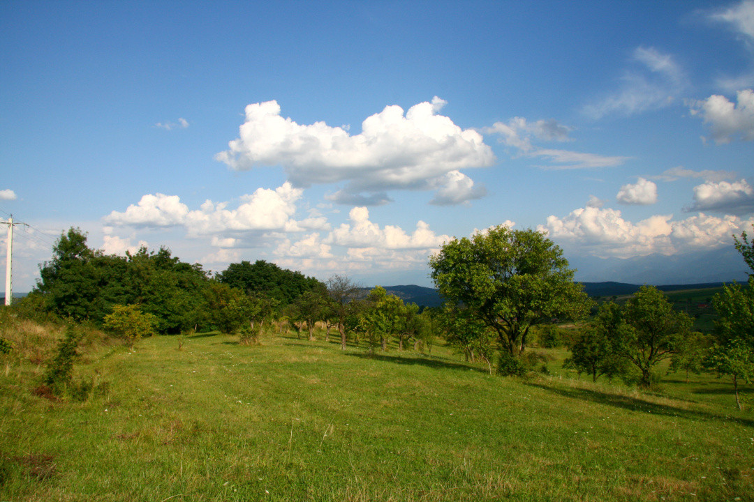 Teren de vânzare în Daia, Sibiu – 600 mp, priveliște superbă spre munți