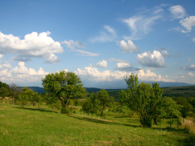 Teren de vânzare în Daia, Sibiu – 600 mp, priveliște superbă spre munți