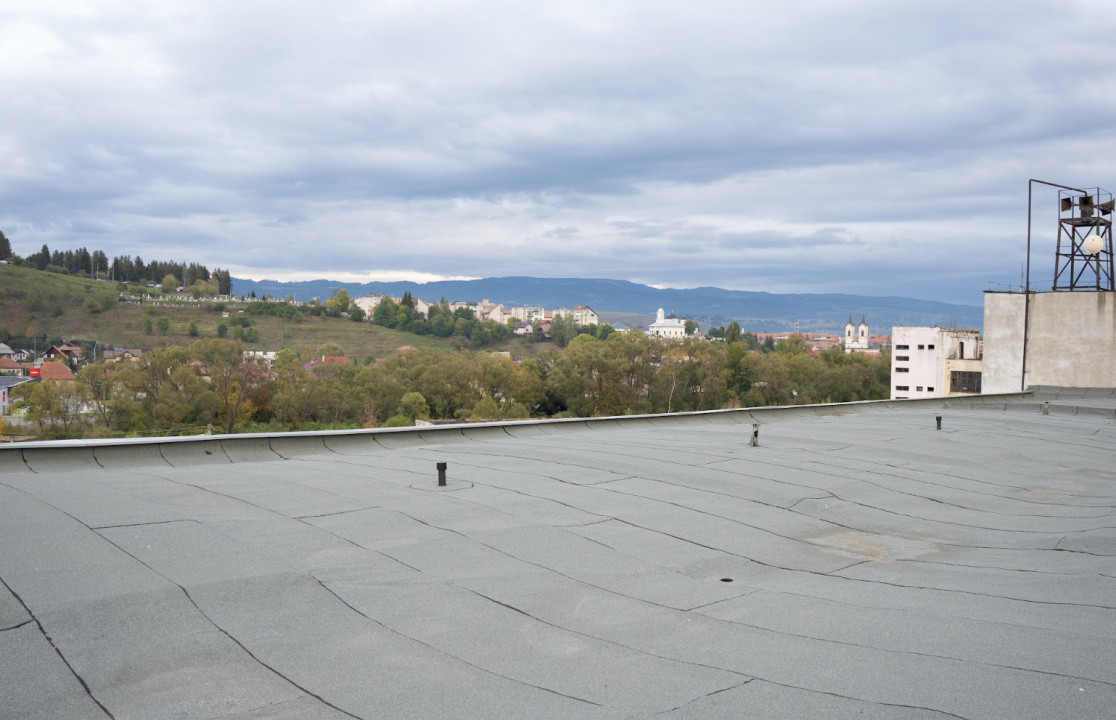Clădire industrială cu potențial mixt – producție, depozitare, servicii –Toplița