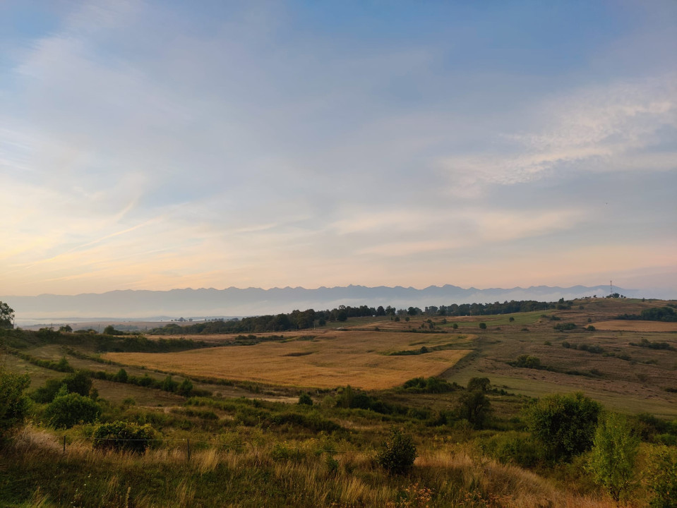 Oportunitate investitie/Afacere - Teren 70 ha + turmă bizoni - Marpod - Chirpăr