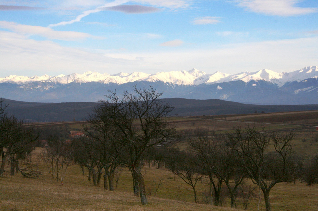 Teren de vânzare în Daia, Sibiu – 600 mp, priveliște superbă spre munți