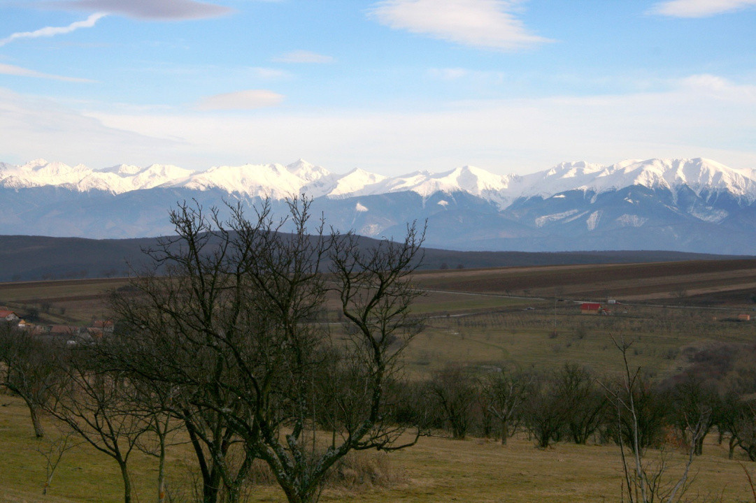 Teren de vânzare în Daia, Sibiu – 600 mp, priveliște superbă spre munți