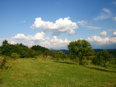 Teren de vânzare în Daia, Sibiu – 600 mp, priveliște superbă spre munți