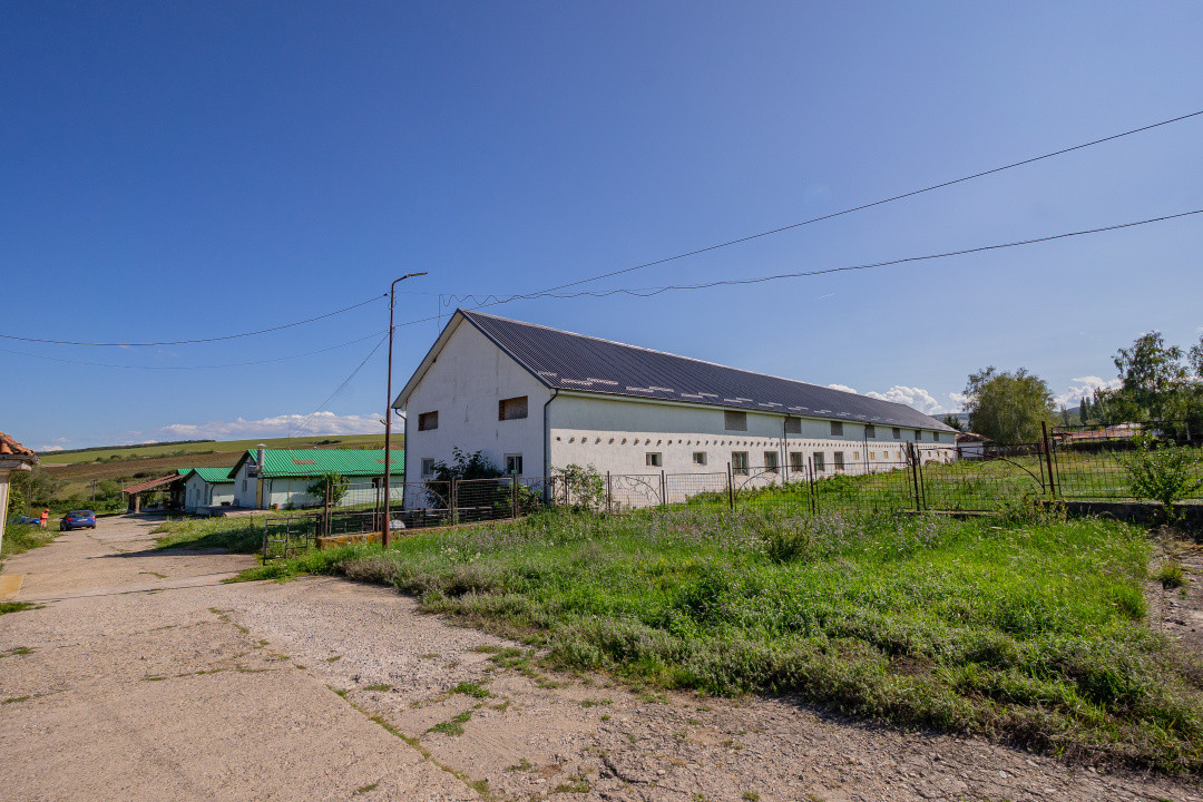 Complex industrial funcțional cu hale, teren generos cu acces A1-Sebes - Sibiu