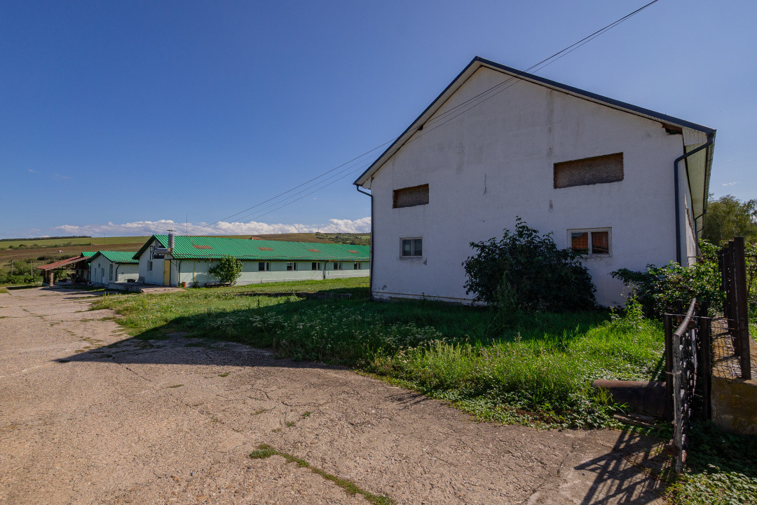 Complex industrial funcțional cu hale, teren generos cu acces A1-Sebes - Sibiu