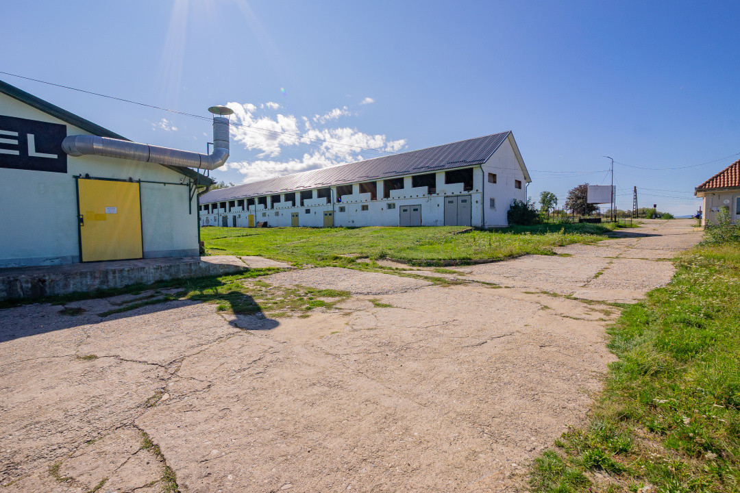 Complex industrial funcțional cu hale, teren generos cu acces A1-Sebes - Sibiu