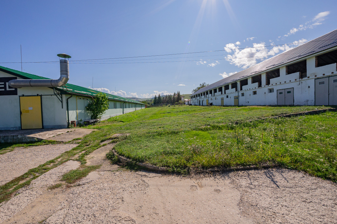 Complex industrial funcțional cu hale, teren generos cu acces A1-Sebes - Sibiu