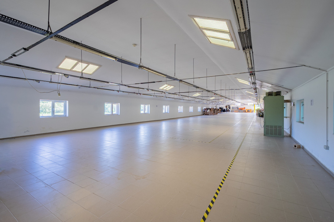 Complex industrial funcțional cu hale, teren generos cu acces A1-Sebes - Sibiu