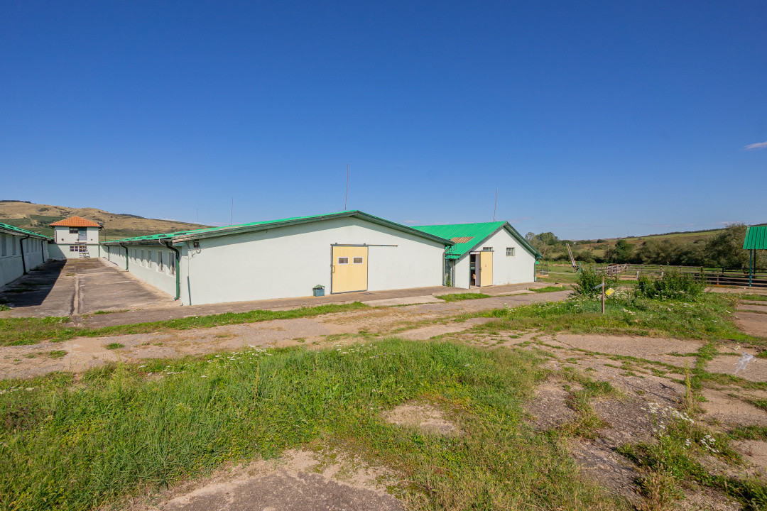 Complex industrial funcțional cu hale, teren generos cu acces A1-Sebes - Sibiu