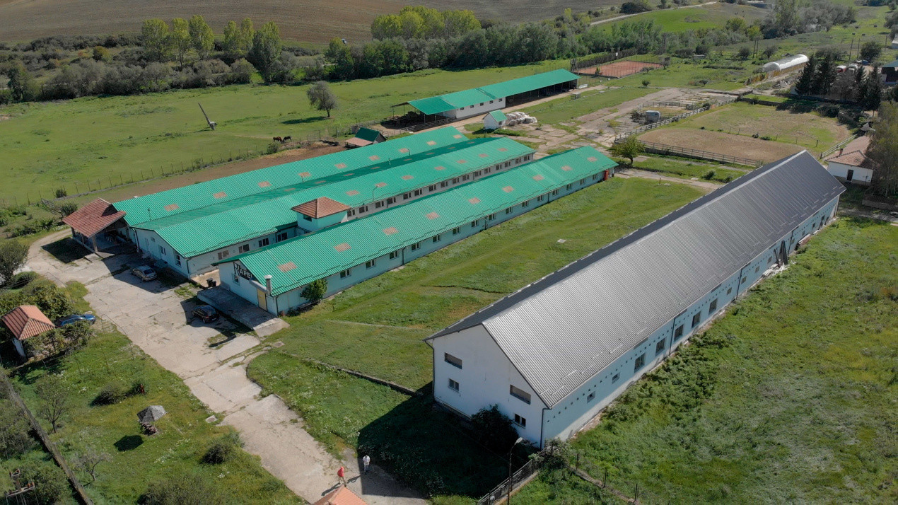 Complex industrial funcțional cu hale, teren generos cu acces A1-Sebes - Sibiu