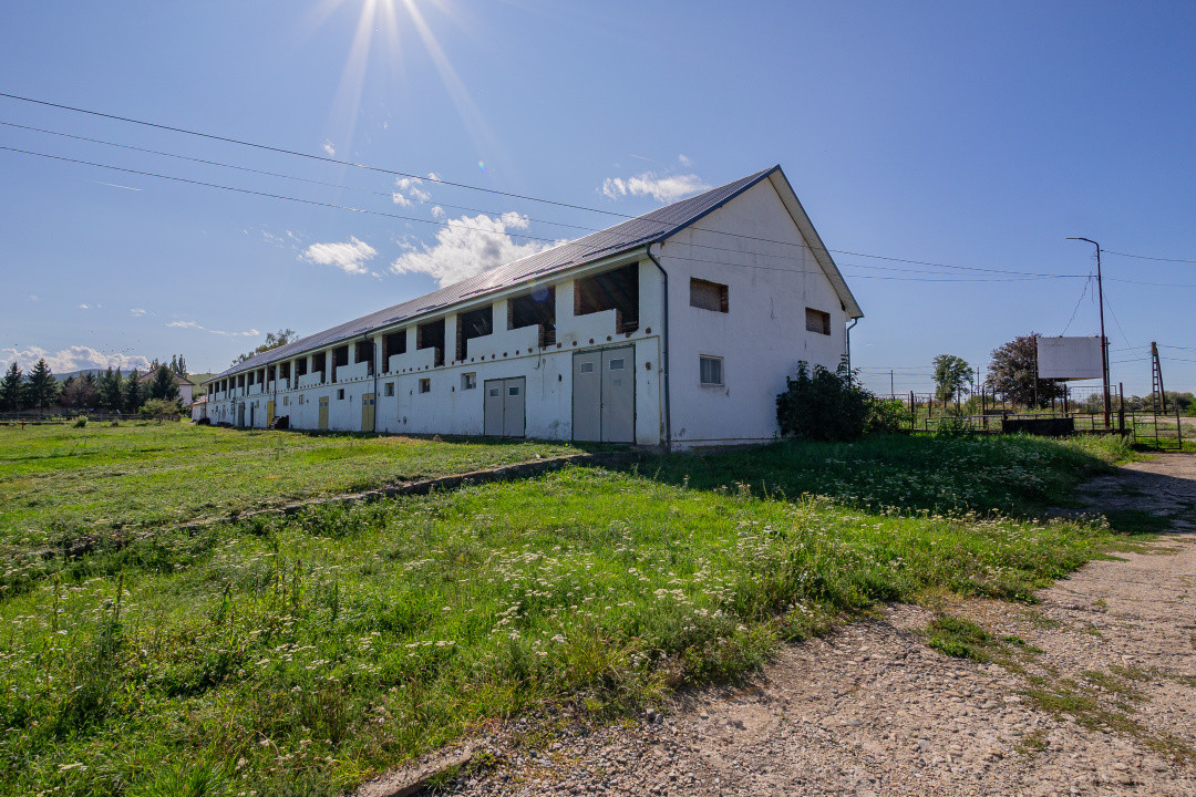 Complex industrial funcțional cu hale, teren generos cu acces A1-Sebes - Sibiu