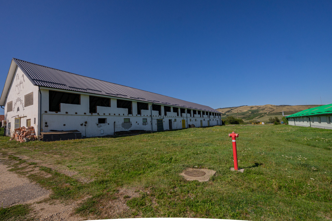 Complex industrial funcțional cu hale, teren generos cu acces A1-Sebes - Sibiu