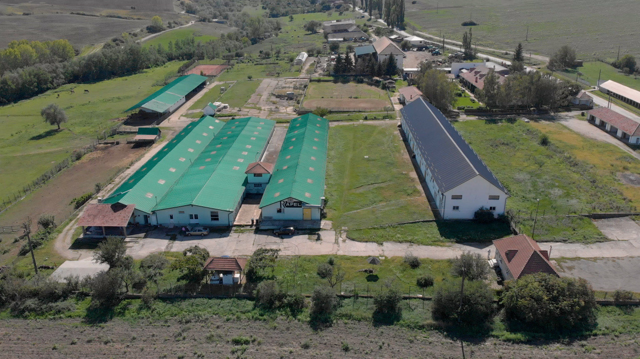 Complex industrial funcțional cu hale, teren generos cu acces A1-Sebes - Sibiu