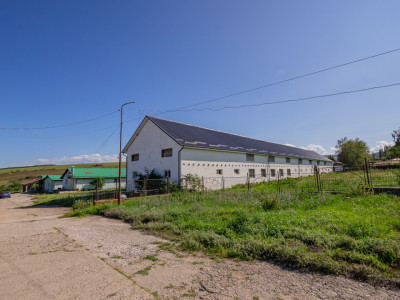 Complex industrial funcțional cu hale, teren generos cu acces A1-Sebes - Sibiu