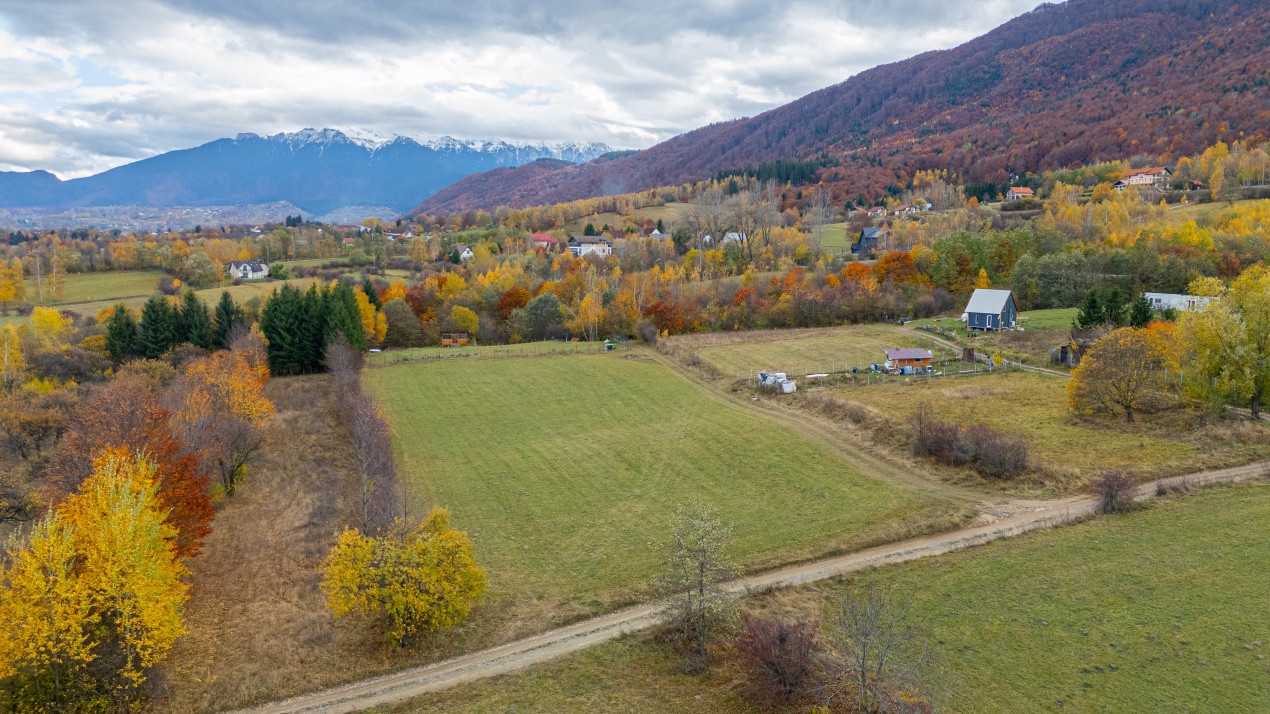 Teren intravilan I Gata de construit I 1100 mp I Tohanita