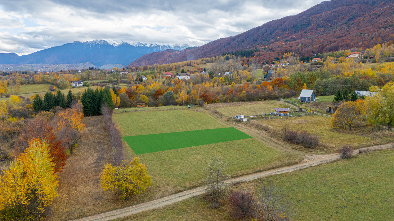 Teren intravilan I Gata de construit I 1100 mp I Tohanita