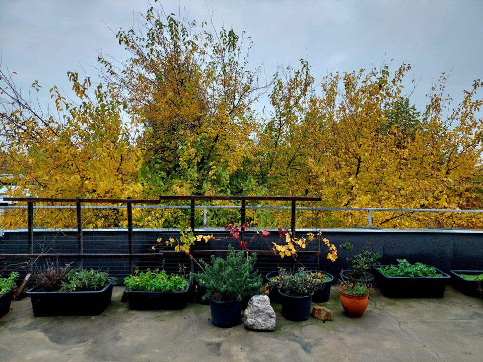 Apartament 3 camere cu terasă superbă, Basarabia -Parcul Național