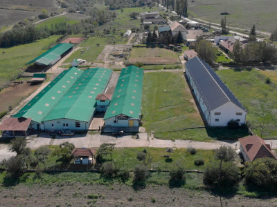 Hala industriala de productie, functionala, 790mp, Rahau, Sebes