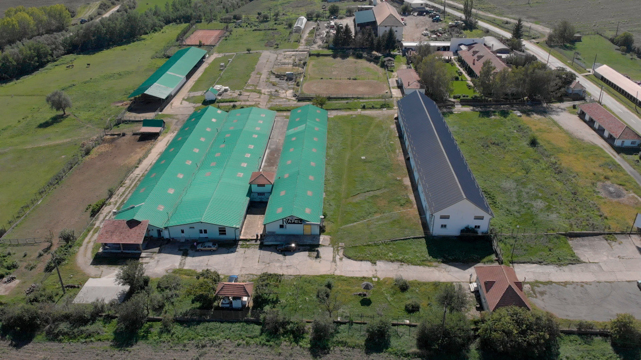 De vanzare | Hala industriala | productie | depozitare | 1023mp | Sebes