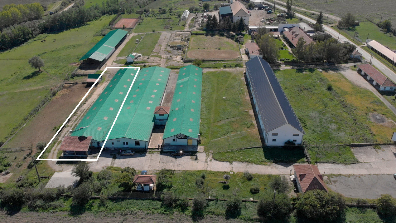 Hală industrială | producție | depozitare | cantină | 826mp | Sebeș