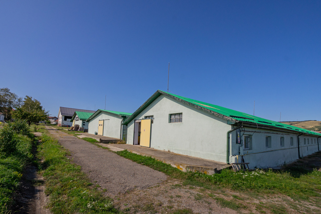 Hală industrială | producție | depozitare | cantină | 826mp | Sebeș