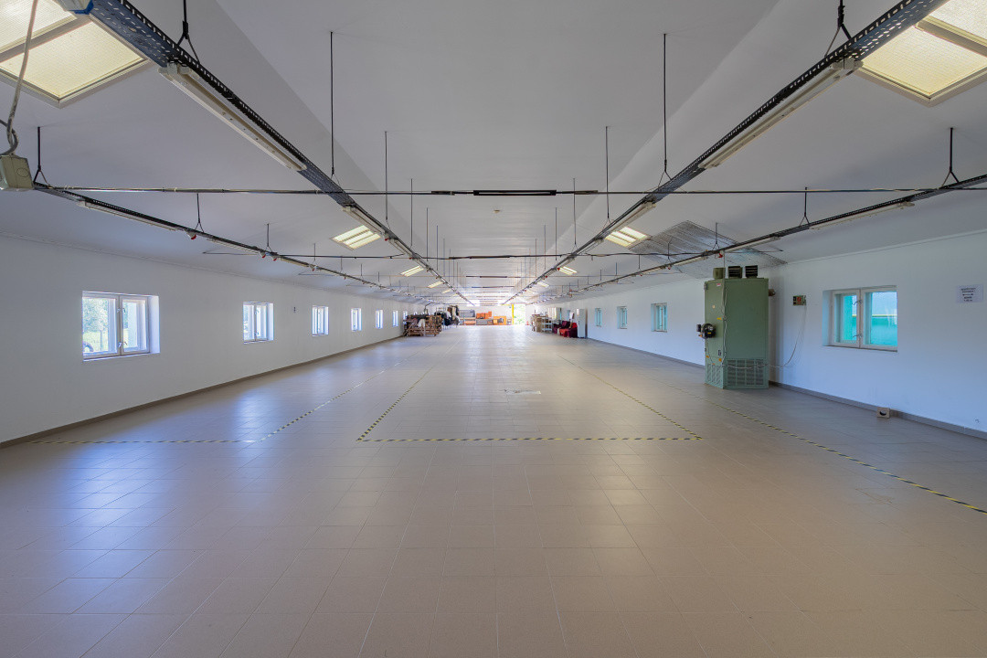 Hală industrială | producție | depozitare | cantină | 826mp | Sebeș