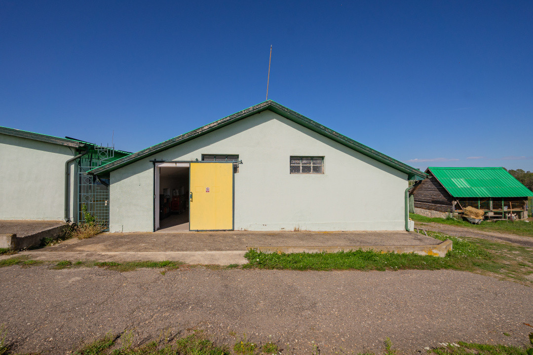 Hală industrială | producție | depozitare | cantină | 826mp | Sebeș