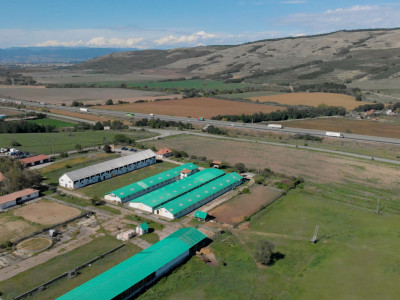 Hală industrială | producție | depozitare | cantină | 826mp | Sebeș