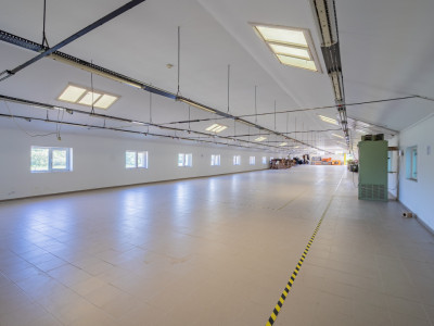 Hală industrială | producție | depozitare | cantină | 826mp | Sebeș