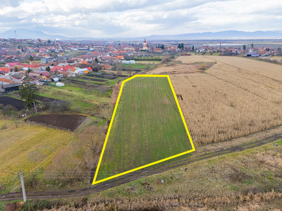 Teren 10000 mp in Extravilan, Bod, Brasov