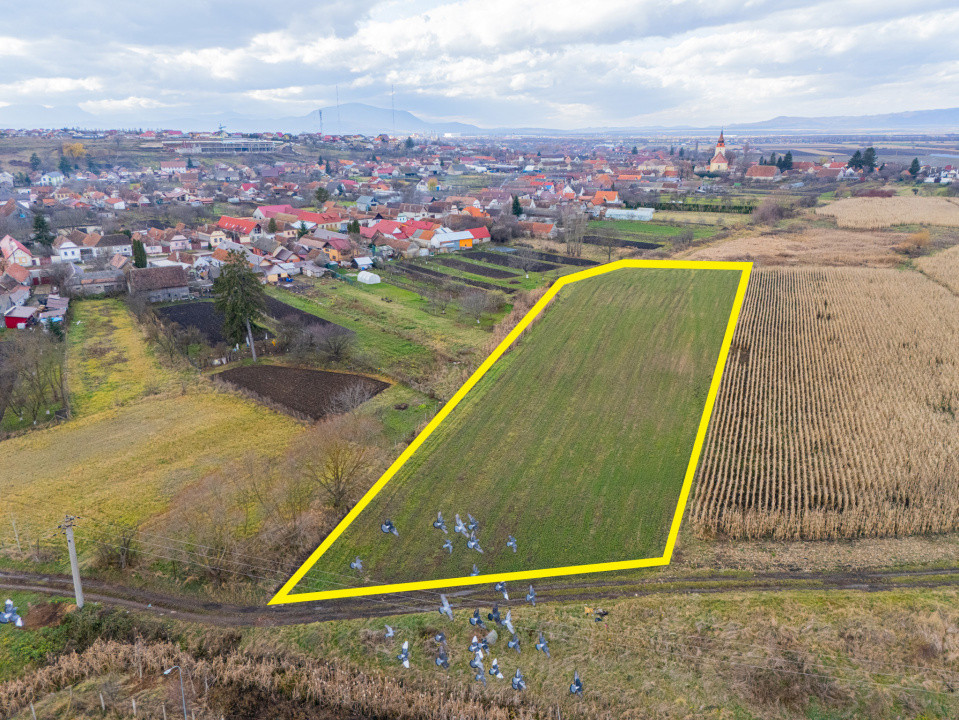 Teren 10000 mp in Extravilan, Bod, Brasov