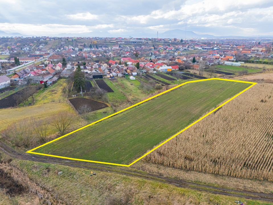 Teren 10000 mp in Extravilan, Bod, Brasov