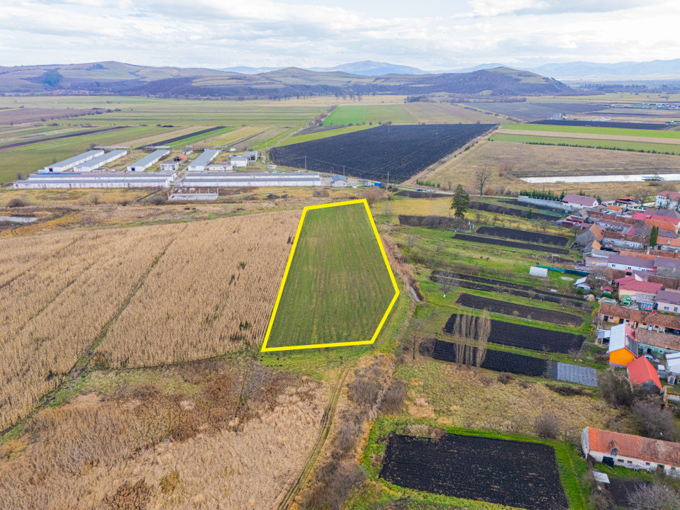 Teren 10000 mp in Extravilan, Bod, Brasov