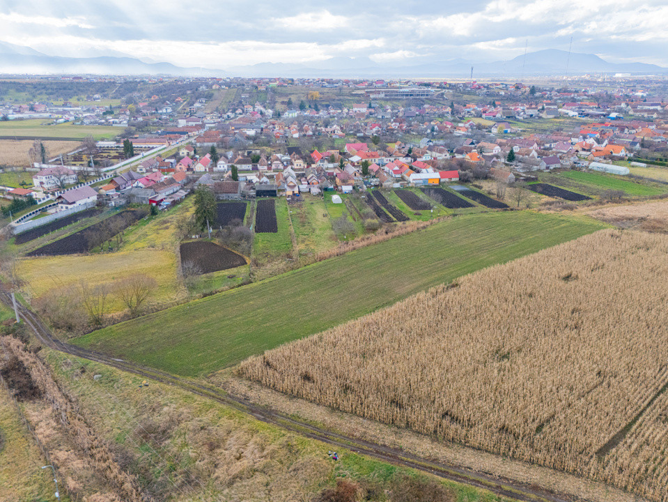 Teren 10000 mp in Extravilan, Bod, Brasov