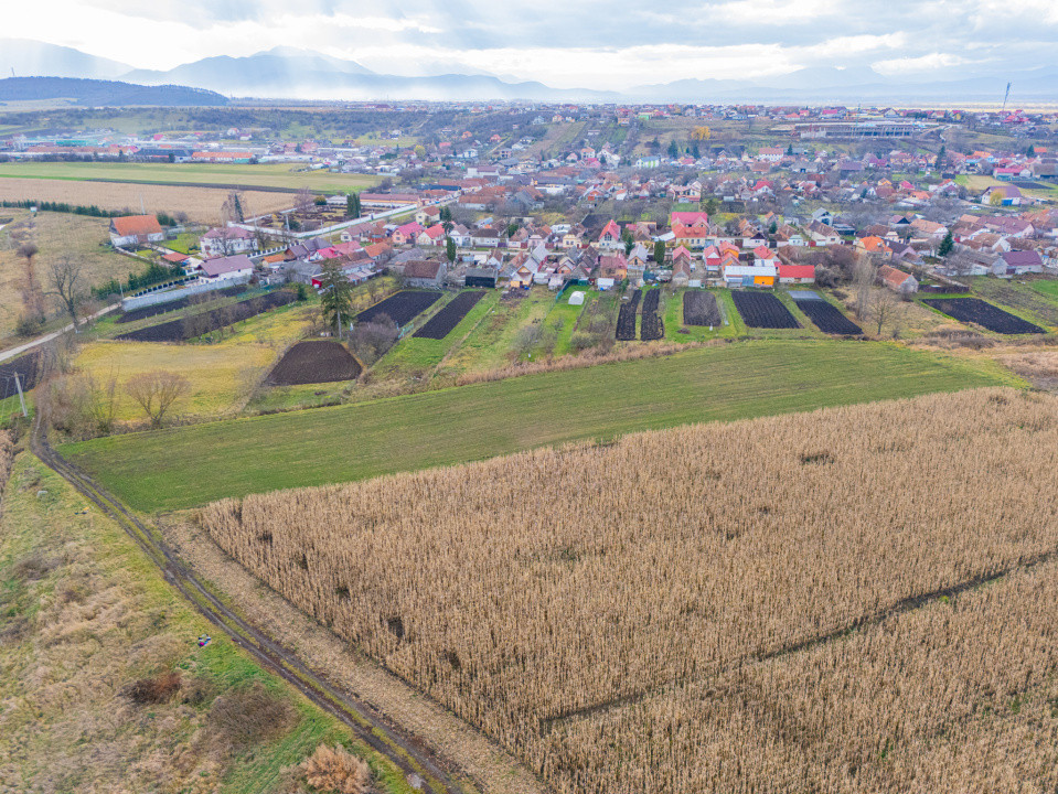 Teren 10000 mp in Extravilan, Bod, Brasov