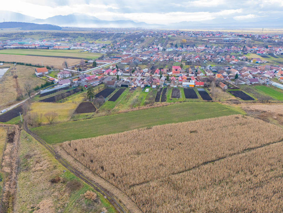 Teren 10000 mp in Extravilan, Bod, Brasov