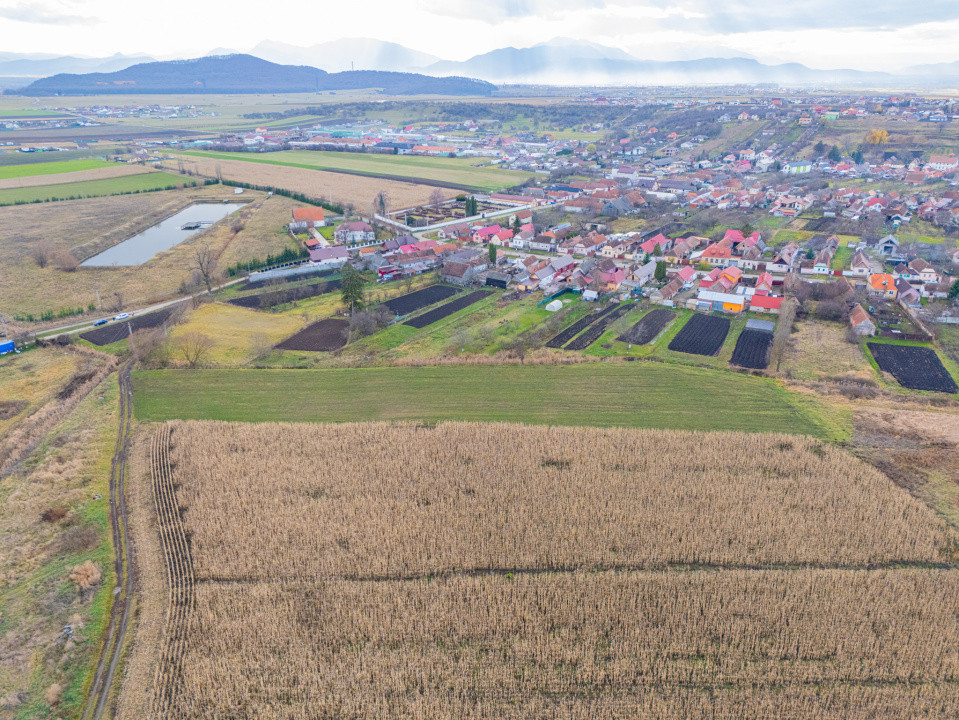 Teren 10000 mp in Extravilan, Bod, Brasov