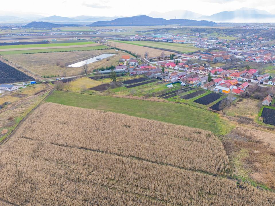 Teren 10000 mp in Extravilan, Bod, Brasov