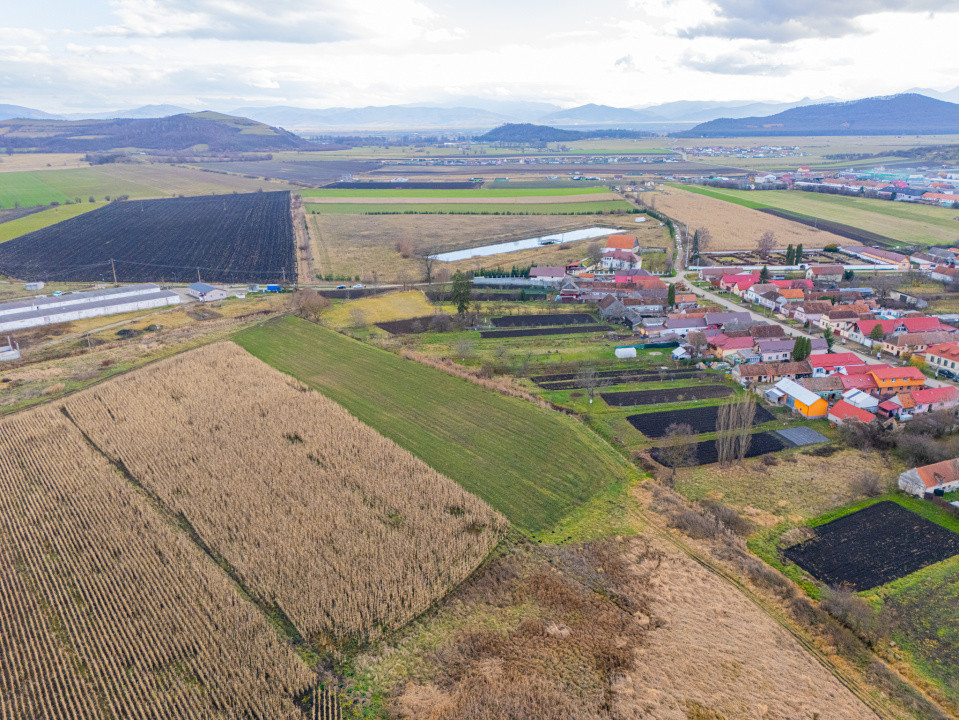 Teren 10000 mp in Extravilan, Bod, Brasov