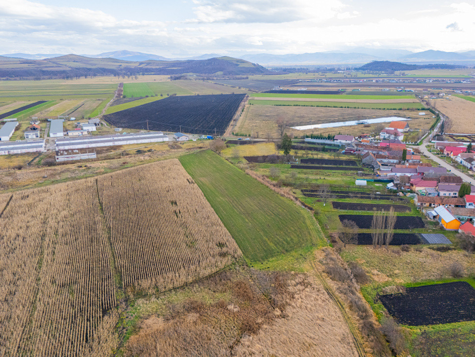 Teren 10000 mp in Extravilan, Bod, Brasov