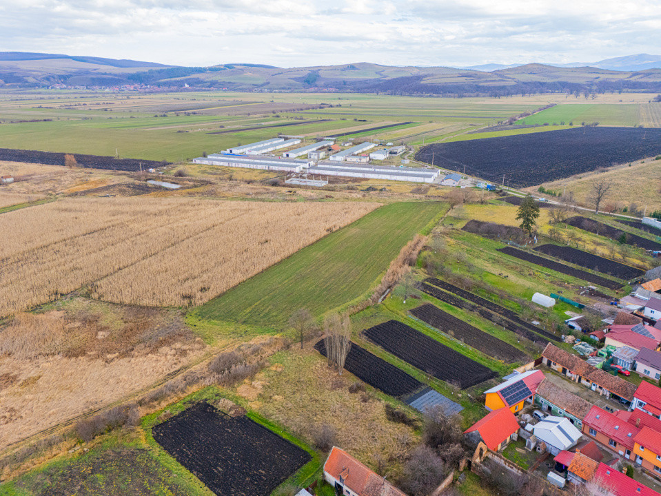 Teren 10000 mp in Extravilan, Bod, Brasov