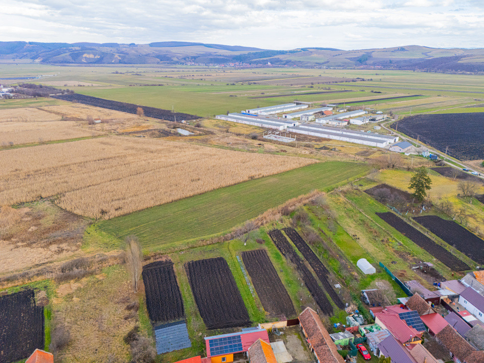 Teren 10000 mp in Extravilan, Bod, Brasov