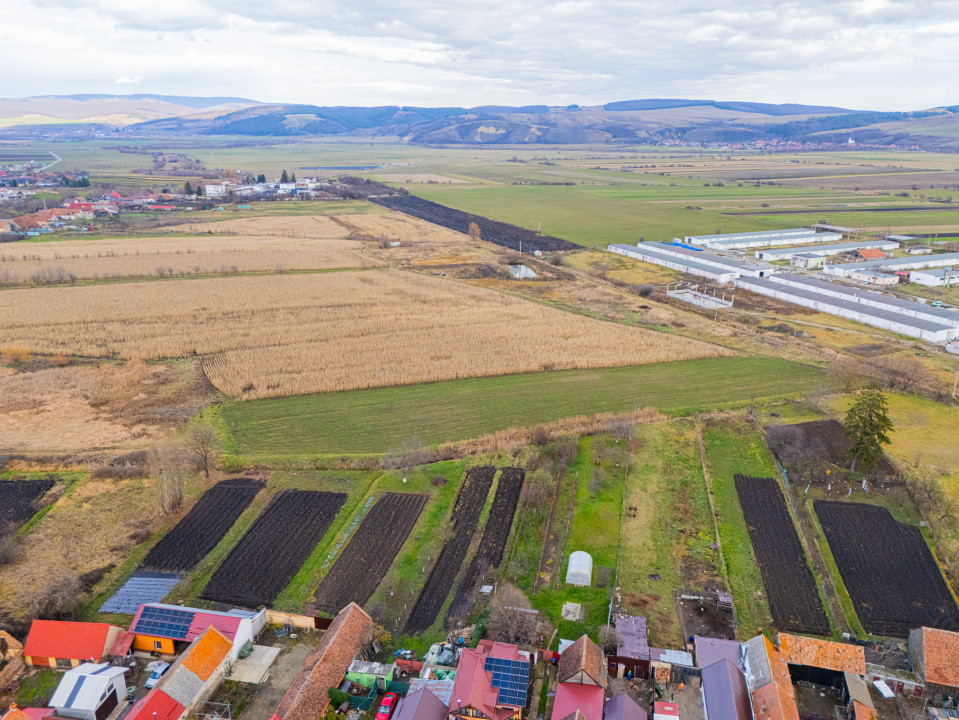 Teren 10000 mp in Extravilan, Bod, Brasov