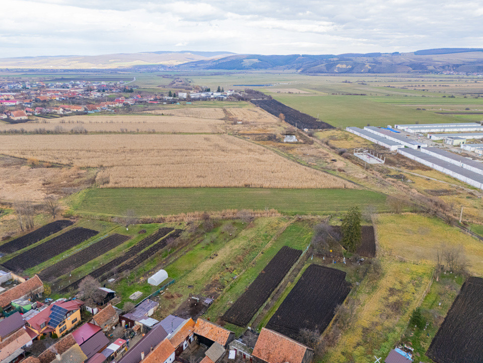 Teren 10000 mp in Extravilan, Bod, Brasov