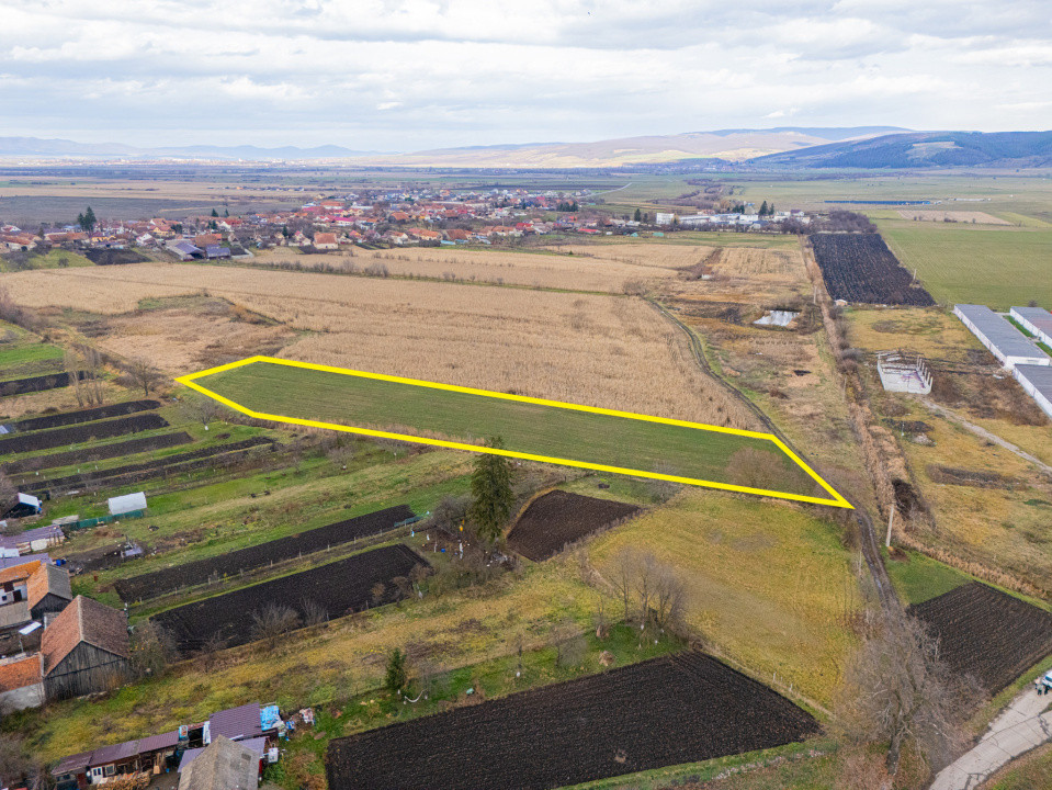 Teren 10000 mp in Extravilan, Bod, Brasov