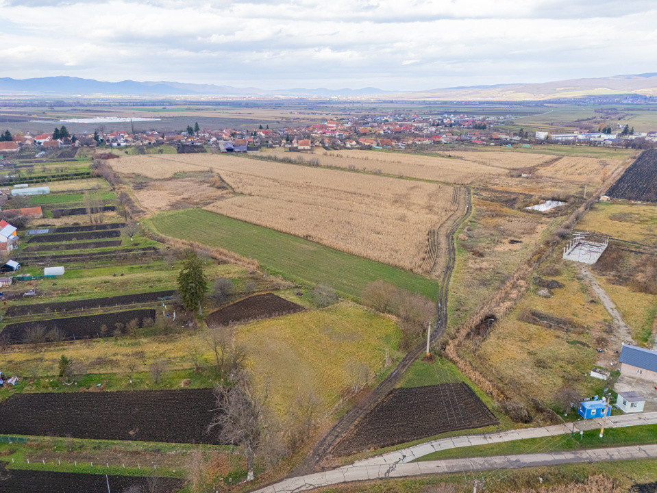 Teren 10000 mp in Extravilan, Bod, Brasov