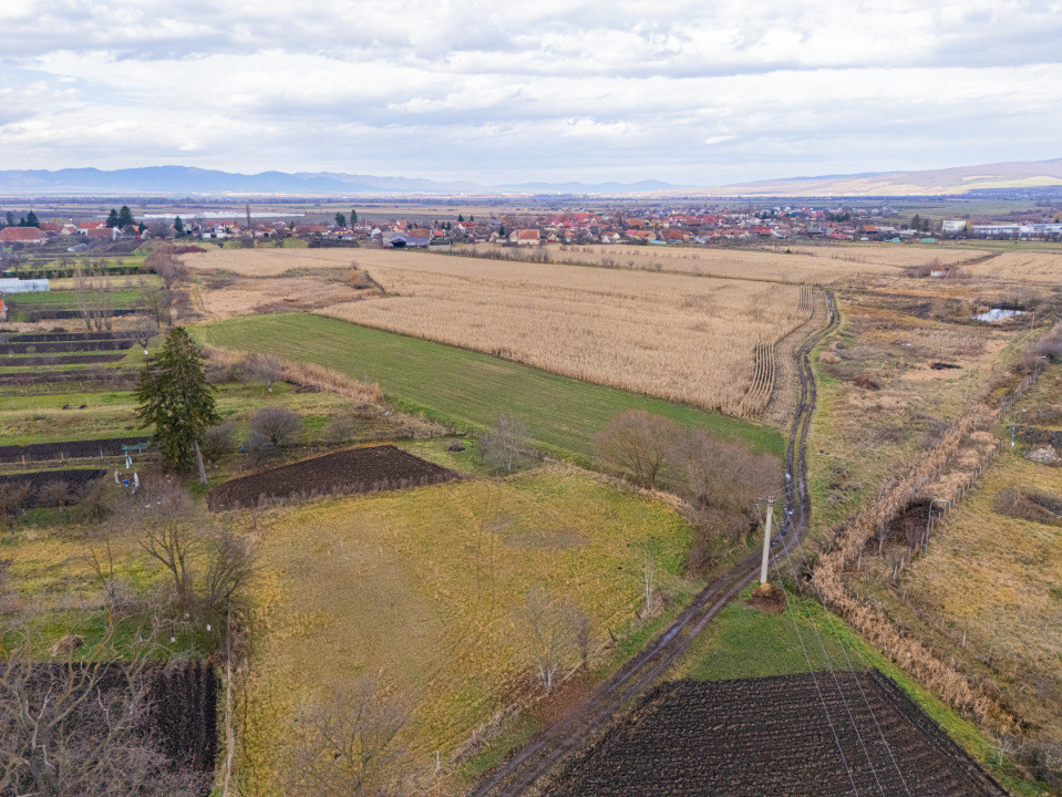 Teren 10000 mp in Extravilan, Bod, Brasov