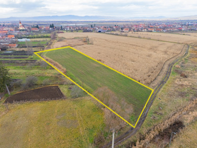 Teren 10000 mp in Extravilan, Bod, Brasov- COMISION 0%