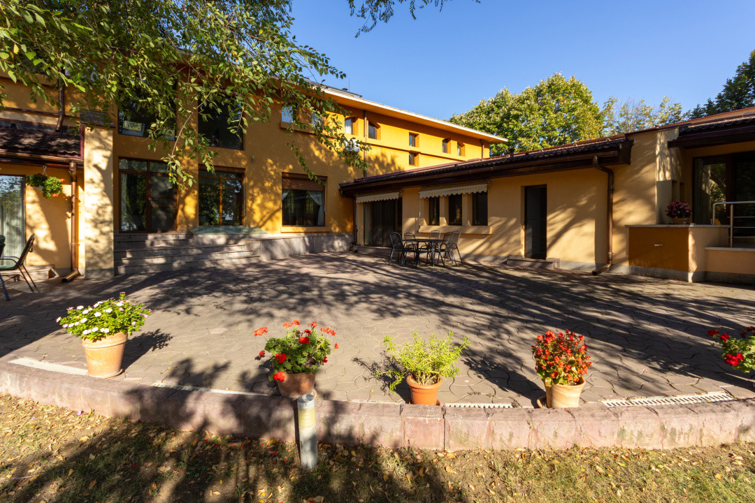 Proprietate Unică în Frumușani – Spațiu, Eleganță și Potențial 