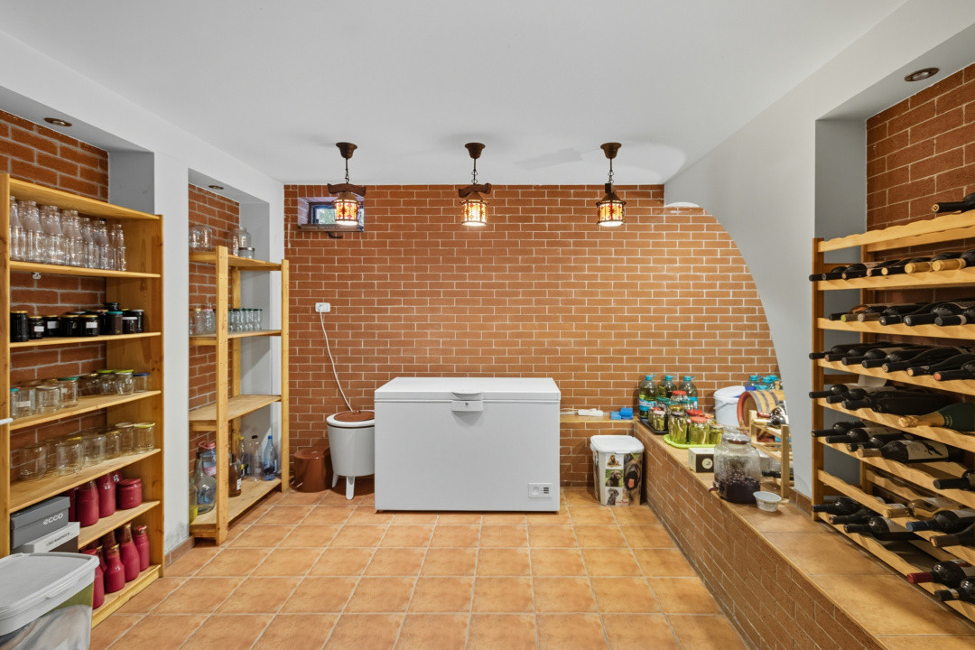 Proprietate Unică în Frumușani – Spațiu, Eleganță și Potențial 